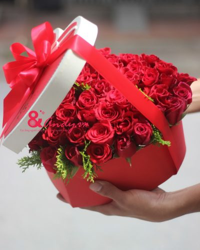 Gõ cửa trái tim