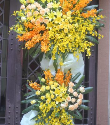 Hoa chúc mừng 6