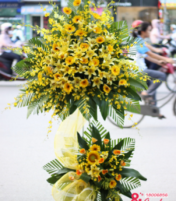 Hoa KT đẹp