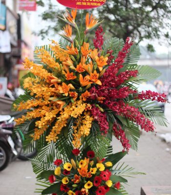 HKT Tầm cao mới