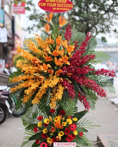 HKT Tầm cao mới
