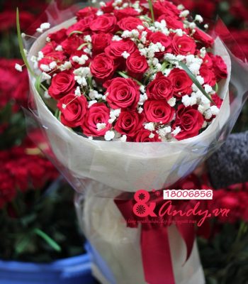 Yêu thương trọn vẹn Yêu thương trọn vẹn
