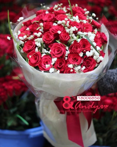 <img src='https://andy.vn/image/cache/data/product/IMG0558-400x500.jpg' height='400px'> Yêu thương trọn vẹn