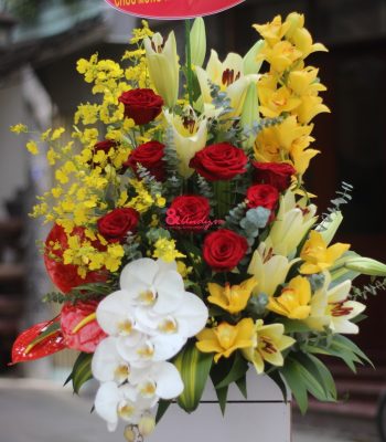 Hoa như sương lại như gió