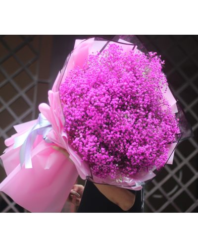 <img src='https://andy.vn/image/cache/data/product/IMG5785-400x500.jpg' height='400px'> Hoa Baby hồng