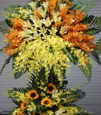 Hoa chúc mừng