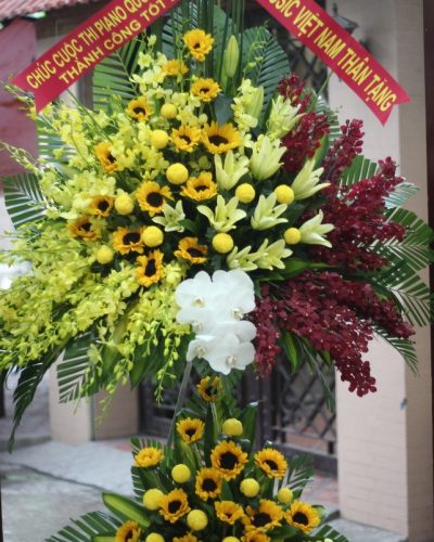 May mắn- phát tài