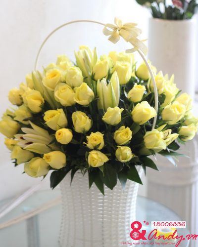 <img src='https://andy.vn/image/cache/data/product/IMG7344-400x500.jpg' height='400px'> Nắng vàng