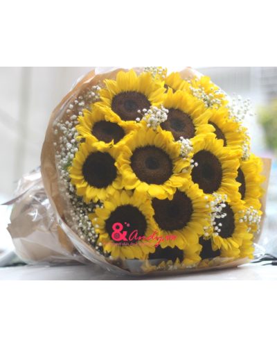 <img src='https://andy.vn/image/cache/data/product/IMG9642-400x500.jpg' height='400px'> Hi Vọng