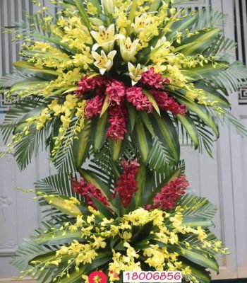 Hoa chúc mừng 