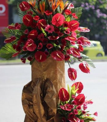 Kệ hoa tone đỏ