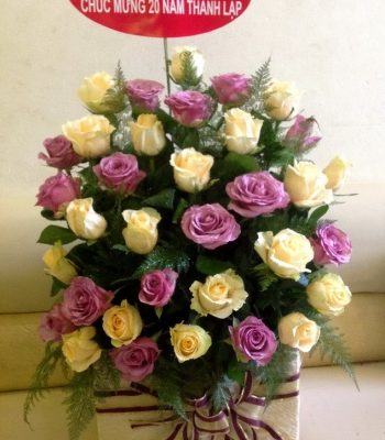 Hộp hoa hồng tím Hộp hoa hồng tím