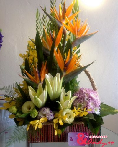 <img src='https://andy.vn/image/cache/data/product/hoa-chuc-mung-016-400x500.jpg' height='400px'> Hoa chúc mừng