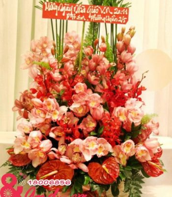 Hoa chúc mừng 