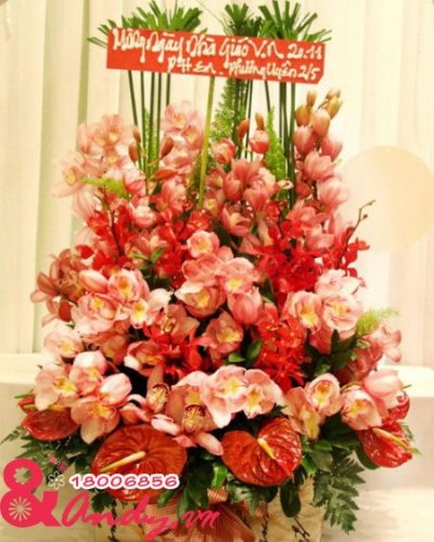 Hoa chúc mừng 