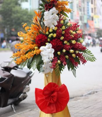 HKT Thành Công Rực Rỡ HKT Thành Công Rực Rỡ