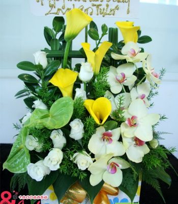 Hoa sinh nhật đồng nghiệp