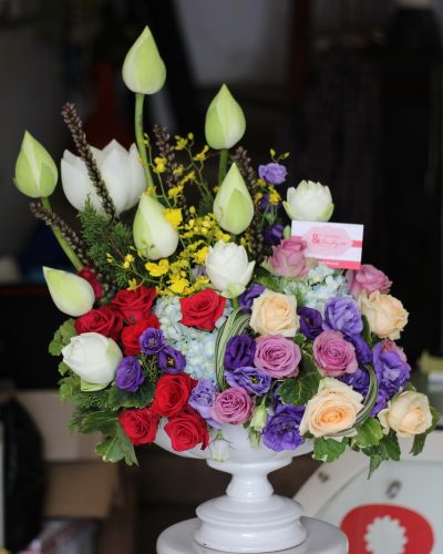 Cùng hợp tác