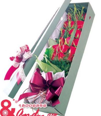 Hộp hoa hồng đỏ