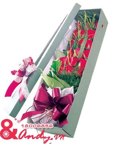 Hộp hoa hồng đỏ