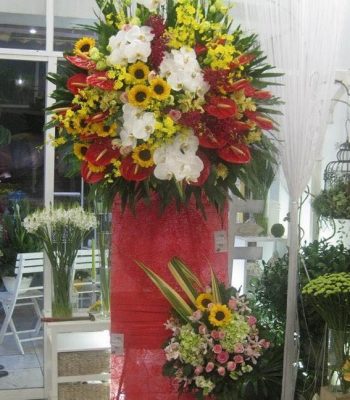 HKT Vững Bền