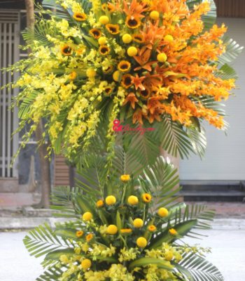 Hoa chúc mừng đẹp
