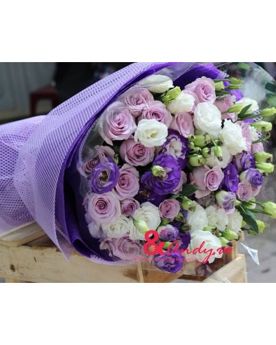 <img src='https://andy.vn/image/cache/data/product/n18-400x500.jpg' height='400px'> Viên mãn