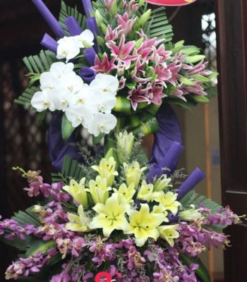 ĐẠI CÁT