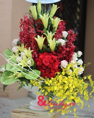 <img src='https://andy.vn/image/cache/data/product/n5-400x500.jpg' height='400px'> Kính mừng