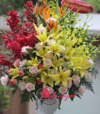 Đoàn Kết Đoàn Kết