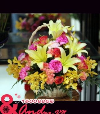 Sắc màu yêu thương