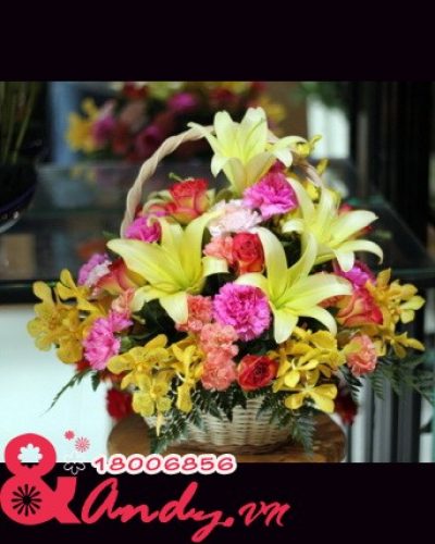 <img src='https://andy.vn/image/cache/data/product/sac-mau-400x500.jpg' height='400px'> Sắc màu yêu thương