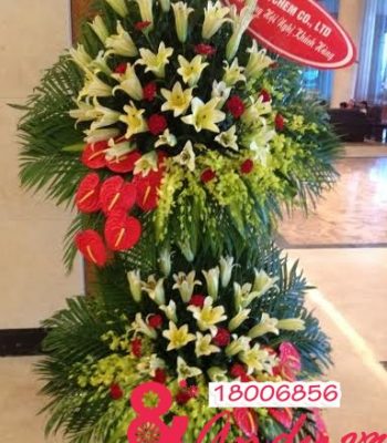Hoa KT Tấn Tài Tấn Lộc