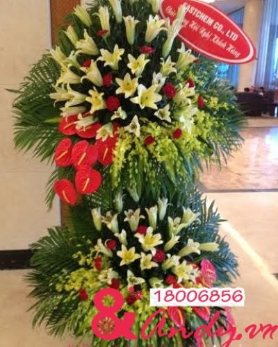 Hoa KT Tấn Tài Tấn Lộc
