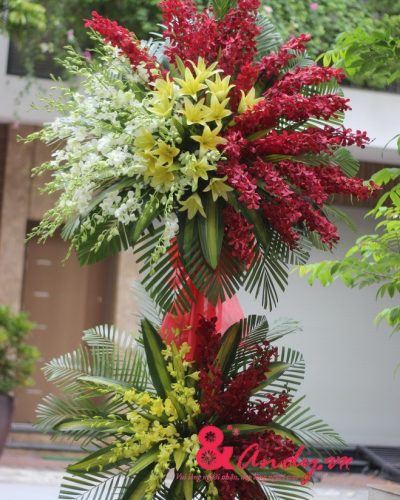 Hoa KT Thịnh vượng