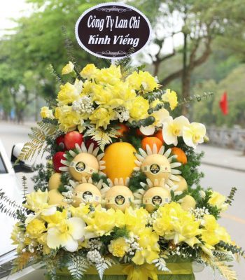 Giỏ Hoa Quả Chia Buồn