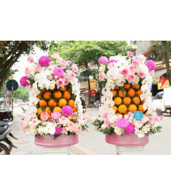 Giỏ Hoa Quả Chúc Mừng