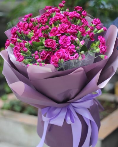 CẨM CHƯỚNG TÍM
