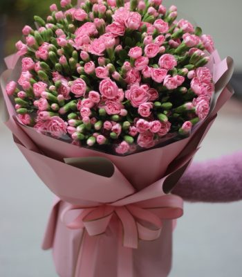 CẨM CHƯỚNG HỒNG