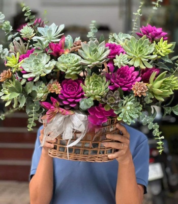 Lời chúc thành công